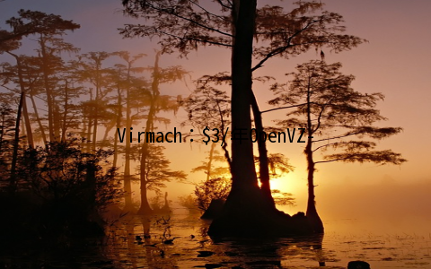Virmach：/年OpenVZ-128MB/10G SSD/250GB 洛杉矶