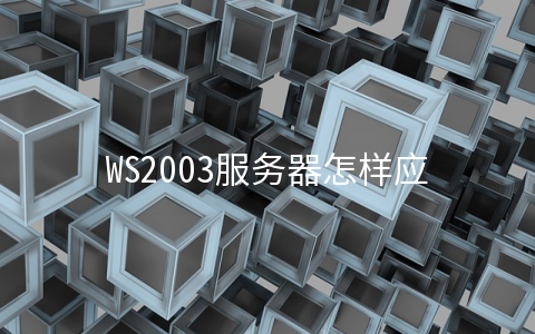 WS2003服务器怎样应对安全风险
