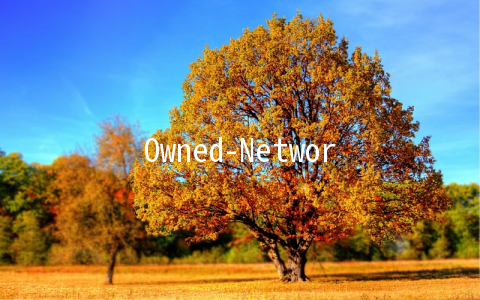 Owned-Networks：/月KVM-1GB/50GB/1TB 五数据中心