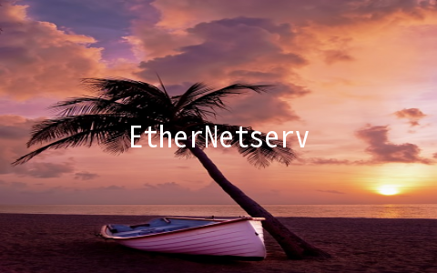 EtherNetservers：.3/月OpenVZ-512MB/25GB/500GB/2IP 洛杉矶