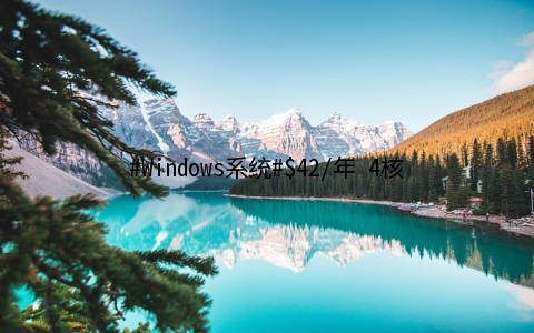 #Windows系统#/年 4核CPU 40G SSD 5T流量@1Gbps KVM 洛杉矶 welcomehosting