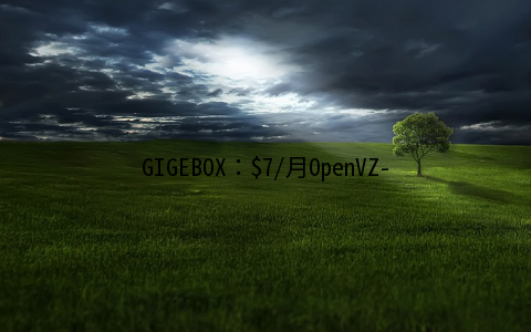 GIGEBOX：/月OpenVZ-2GB/30GB/无限 加拿大