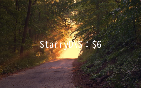 StarryDNS：/月OpenVZ-512MB/20GB/400GB 香港