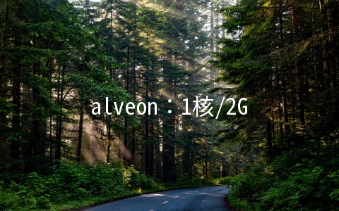 alveon：1核/2G内存/25G SSD/1Gbps带宽不限流量/德国&荷兰/月付€1.2