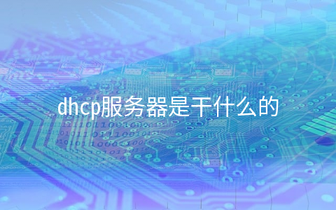 dhcp服务器是干什么的,香港服务器的上下行带宽是什么意思?