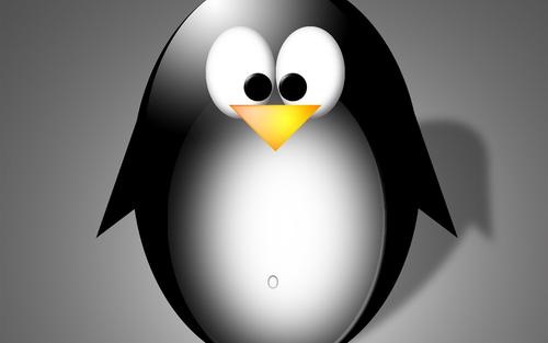 Linux系统中软连接的建立与删除