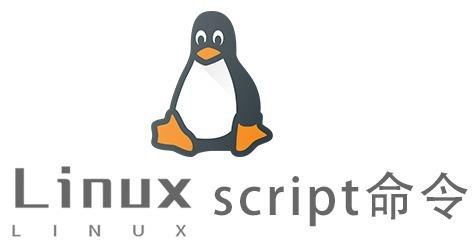 Linux常用命令—script命令