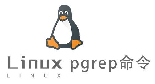 Linux常用命令—pgrep命令