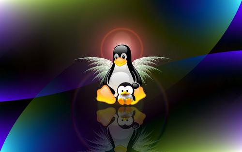 Linux系统如何在任意终端运行可执行程序