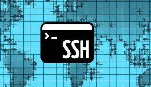 SSH密码验证绕过SSH密码验证绕过