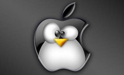 在苹果电脑（Mac）安装Linux系统详细步骤