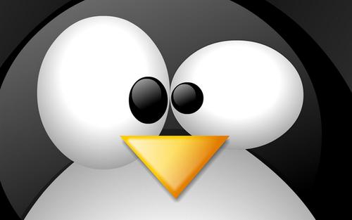 Linux下添加shell脚本执行权限