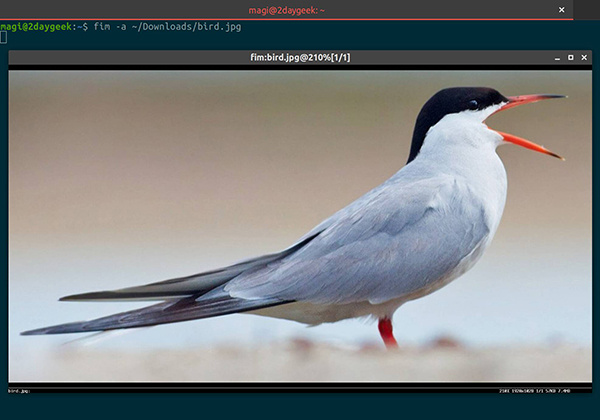 Linux终端怎么查看图像Linux终端怎么查看图像