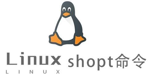 Linux常用命令—shopt命令