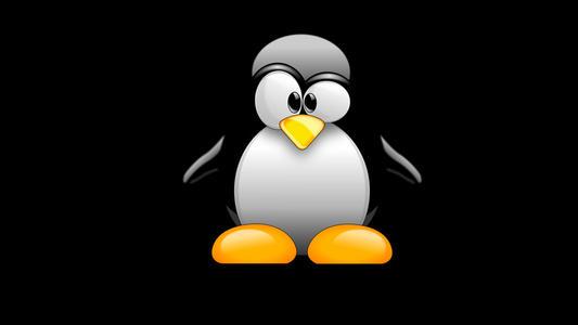 Linux系统文本处理工具less详细使用方法