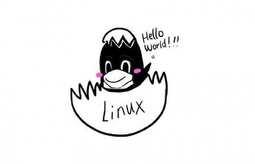 Linux系统添加新硬盘的方法