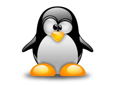 Linux系统查看文件权限的命令