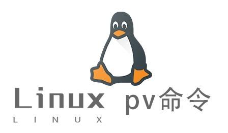 Linux常用命令—pv命令