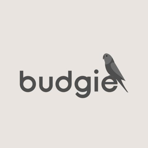 Ubuntu 上安装 Budgie具体方法