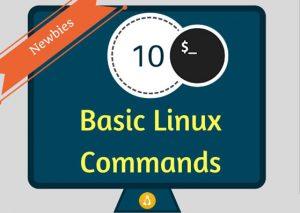 Linux新手应掌握的10个基本命令Linux新手应掌握的10个基本命令