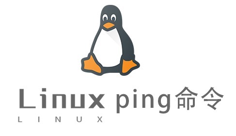 Linux常用命令—ping命令