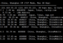 日本CN2云服务器 1核1G 30M 32元/月 稳爱云-枫舟驿站