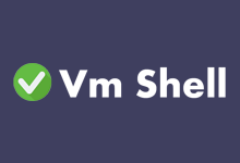 VmShell新推出$3/月香港CMI大带宽限量VPS(1核256M内存30M带宽)-枫舟驿站
