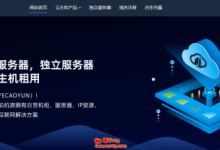 香港独立服务器 E3-1230v2 16G 30M 299元/月 香港云服务器 4核 8G 99元/月 野草云-枫舟驿站