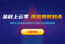 蓝速数据:独立IP金秋上云季独立1核2G 1M 58/年起云服务器秒杀-枫舟驿站