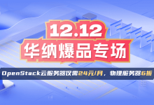 华纳云双12爆品:海外云2M CN2仅需24元/月,物理服务器6折购-枫舟驿站